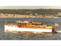 Shearwater