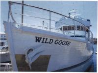 Wild Goose