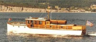Shearwater