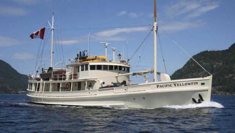 Pacific Yellowfin