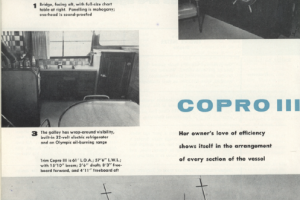 Copro III article