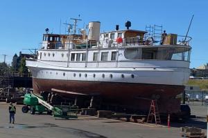 Taconite at Pt. Hope Shipyard, Victoria, July 2020