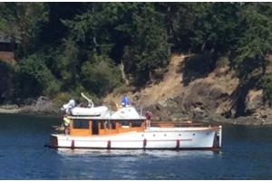 Widgeon in Roche Harbor 2020 (Photo: Rick Etsell)